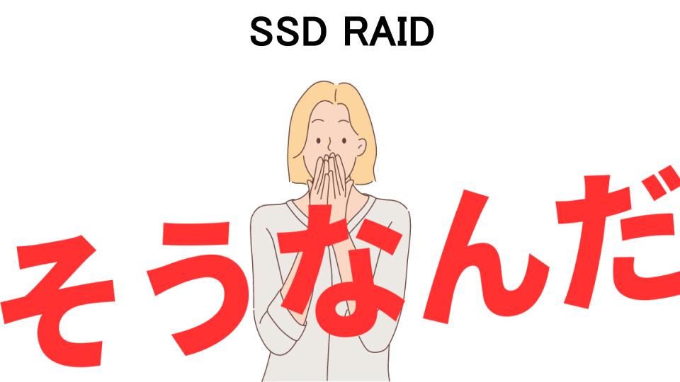 意味ないと思う人におすすめ！SSD RAIDの代わり